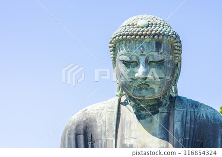 Kamakura Great Buddha 116854324
