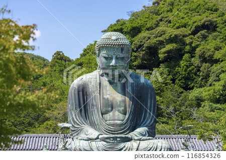 Kamakura Great Buddha Kamakura Great Buddha 116854326