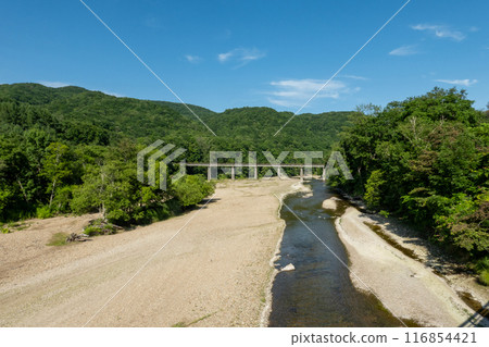 Abandoned bridge over a river 116854421
