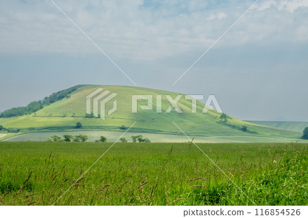 Vast prairie Vast prairie 116854526