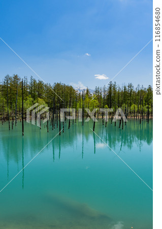 Blue pond Blue pond 116854680