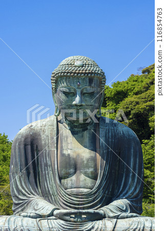 [Vertical photo] Great Buddha of Kamakura 116854763