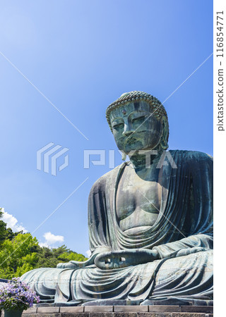 [豎照]鎌倉大佛 116854771