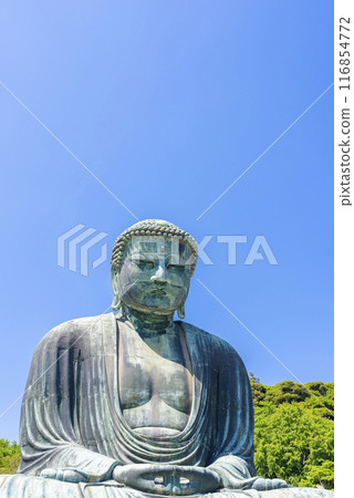 [Vertical photo] Great Buddha of Kamakura 116854772