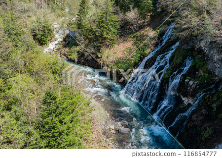 Shirahige Waterfall Shirahige Waterfall 116854777