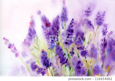 Floral background. Lavender flowers . Watercolor illustration. 116854862
