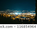 Granada night view from the Alhambra 116854964