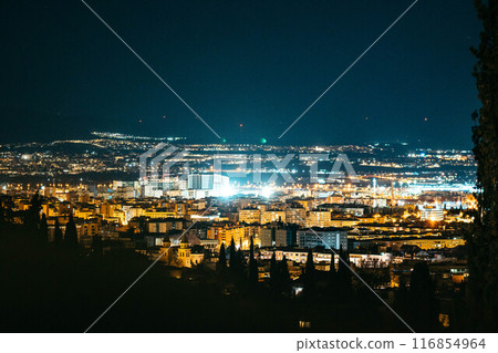 Granada night view from the Alhambra Granada night view from the Alhambra 116854964