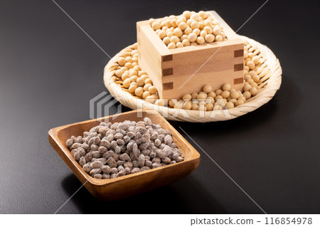 Hosi natto (dried natto) Hosi natto (dried natto) 116854978