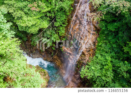 "Kawaura Valley" Silk Waterfall (Gifu Prefecture) "Kawaura Valley" Silk Waterfall (Gifu Prefecture) 116855156