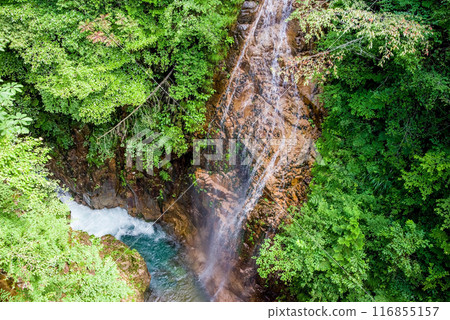 「河浦谷」絲綢瀑布（岐阜縣） 116855157