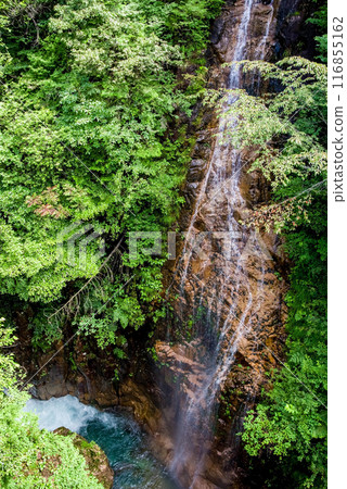 "Kawaura Valley" Silk Waterfall (Gifu Prefecture) "Kawaura Valley" Silk Waterfall (Gifu Prefecture) 116855162