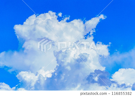 夏日雲圖 夏日雲圖 116855382