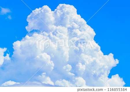 Summer cloud image Summer cloud image 116855384