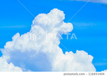 Summer cloud image 116855404