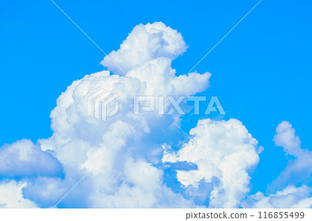 Summer cloud image 116855499