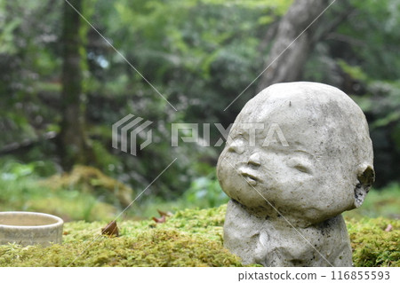 兒童地藏菩薩和日本花園 兒童地藏菩薩和日本花園 116855593