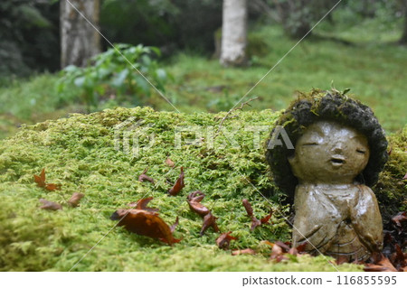 兒童地藏菩薩和日本花園 116855595