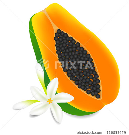 Half ripe papaya fruit with flowers isolated on white background. Half ripe papaya fruit with flowers isolated on white background. 116855659