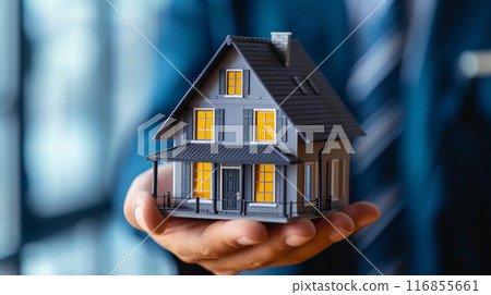 House model in hand background 116855661