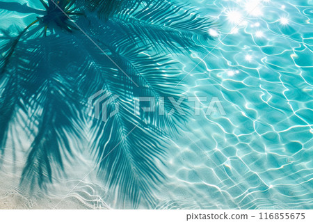 Palm branch against the background of clear sea water 116855675