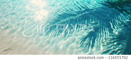 Palm branch against the background of clear sea water 116855702