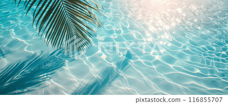 Palm branch against the background of clear sea water 116855707