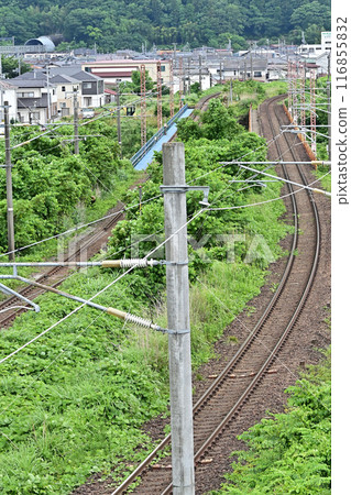 Matsukawa Bridge Matsukawa Bridge 116855832