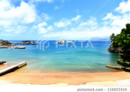 Kumomi Beach (Matsuzaki Town, Shizuoka Prefecture) [2024.7] 116855916