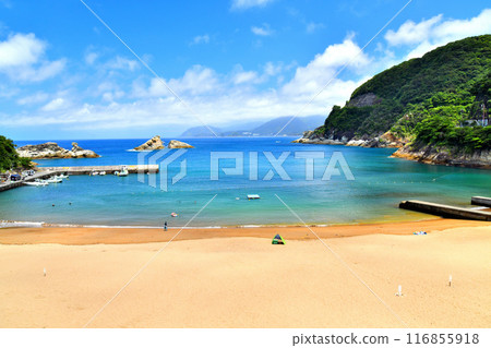 雲見海灘（靜岡縣松崎町） [2024.7] 116855918