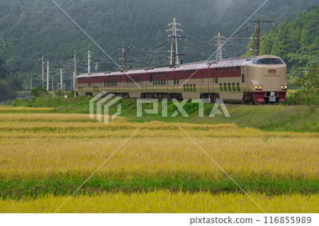 Sunrise Izumo Sunrise Izumo 116855989