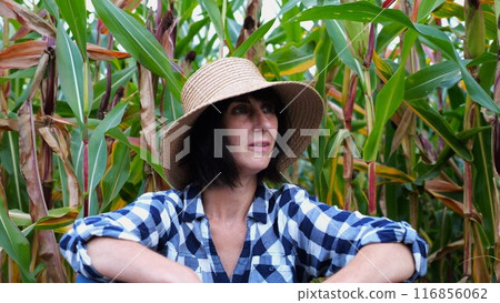 Female tired agronomist sitting after hard work near maize field. Adult beautiful farmer in straw hat resting after job near corn meadow. Concept of agricultural business. Close up Slow motion 116856062