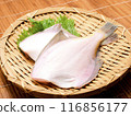 Raw flounder Raw flounder 116856177