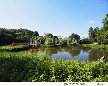 與池塘的風景 116856326
