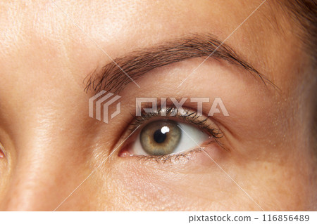 Detailed photo of woman's face, preorbital zone with well-kept, smooth and healthy skin. Anti-aging skincare cosmetic products. Detailed photo of woman's face, preorbital zone with well-kept, smooth and healthy skin. Anti-aging skincare cosmetic products. 116856489
