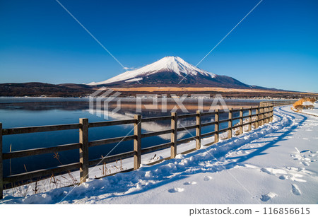 Mt.Fuji with Lake Yamanaka, Yamanashi, Japan 116856615