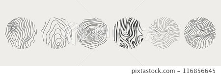 Wood texture material doodle hand drawn line. Tree trunk geometric curve and wave contour. Rings and circles.  116856645