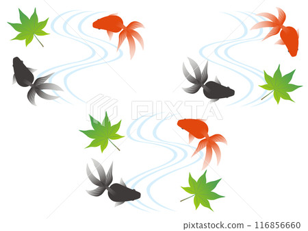 一組遊動的紅黑金魚和秋葉的圖像插圖 116856660