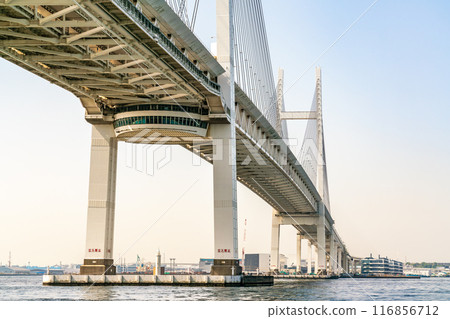 [Kanagawa Prefecture] Yokohama Bay Bridge on a clear day 116856712