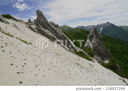 津岳登山道的風景 津岳登山道的風景 116857209
