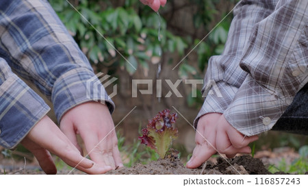 Boy planting a new tree, concept Save the Earth, save the world, save planet, ecology concept.photo 116857243