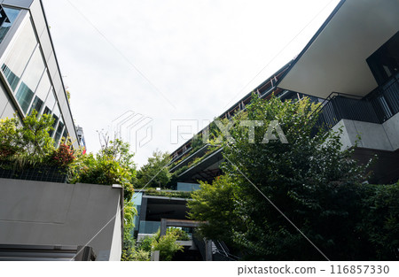 優衣庫和IKEA後面，樓梯和樹木，原宿，陽光明媚的夏日藍天，東京澀谷區 116857330