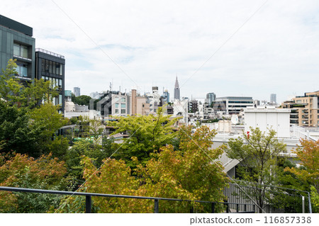 View from the rooftop garden of the Uniqlo and IKEA building, Harajuku, Docomo Yoyogi Building, clear summer sky, Shibuya Ward, Tokyo View from the rooftop garden of the Uniqlo and IKEA building, Harajuku, Docomo Yoyogi Building, clear summer sky, Shibuya Ward, Tokyo 116857338