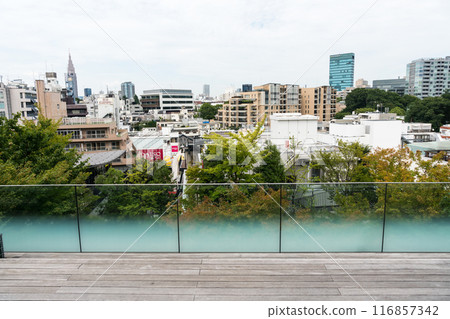 漫步在優衣庫/IKEA大樓的屋頂花園、原宿站、Docomo代代木大樓、東京澀谷區晴朗的夏日天空 116857342