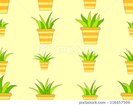 Seamless pattern with potted indoor plants in minimalist style. Indoor plants in a pot with a black outline. Houseplant design for wallpaper, wrappers, covers, banners and posters. Vector illustration Seamless pattern with potted indoor plants in minimalist style. Indoor plants in a pot with a black outline. Houseplant design for wallpaper, wrappers, covers, banners and posters. Vector illustration 116857509