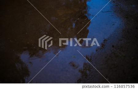 Puddle Puddle 116857536