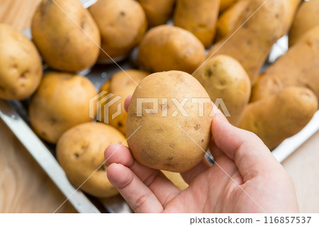 Potatoes Potatoes 116857537