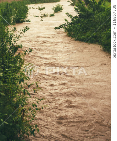 崛起的河流 116857539