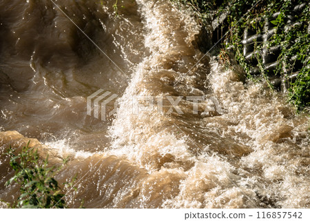 Rising river 116857542