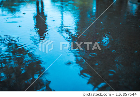 Puddle Puddle 116857544